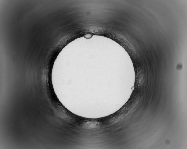 X0000103440595200810241123