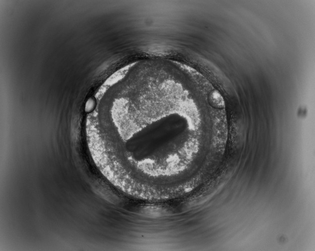 X0000103440596200810241123
