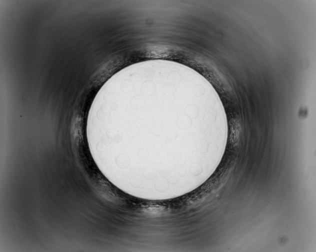 X0000103440598200810241123