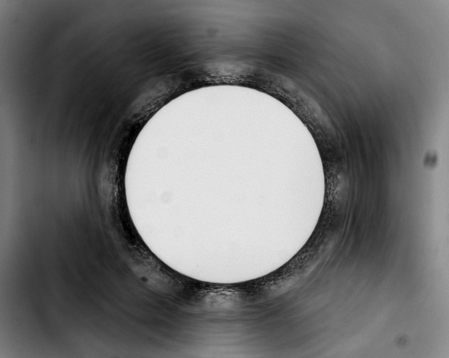 X0000103440599200810241123