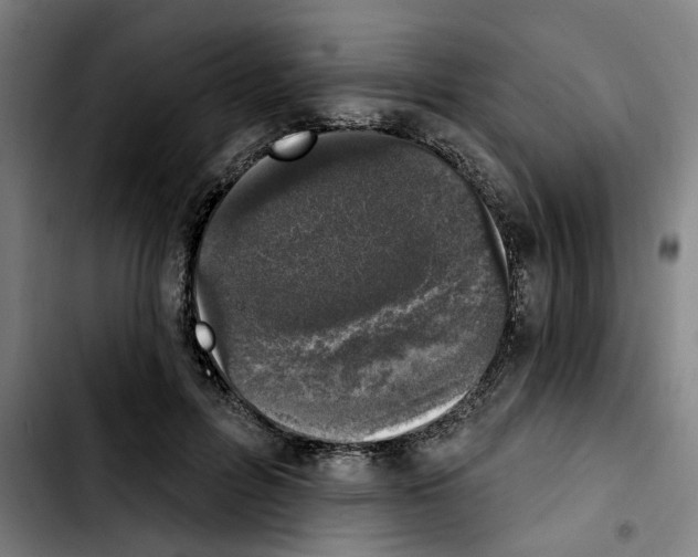 X0000103440600200810241123