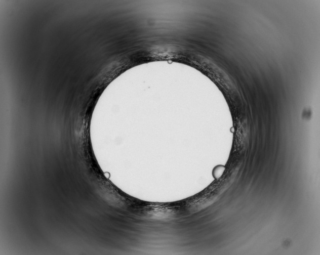 X0000103440601200810241123