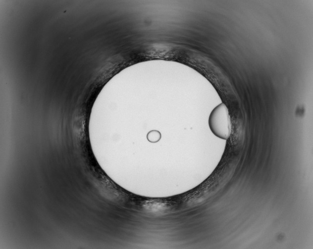 X0000103440602200810241123