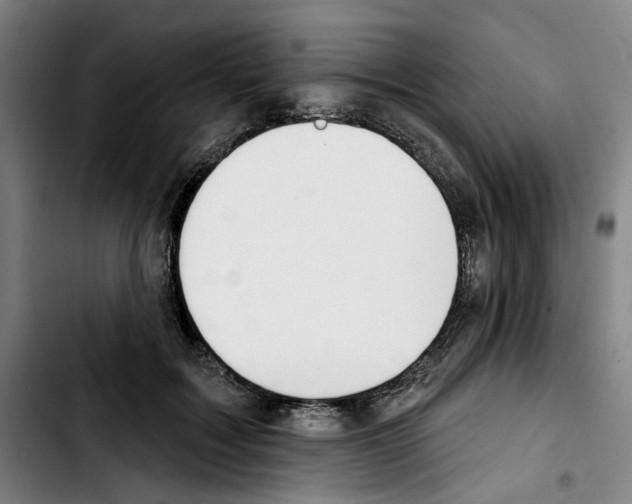 X0000103440603200810241123