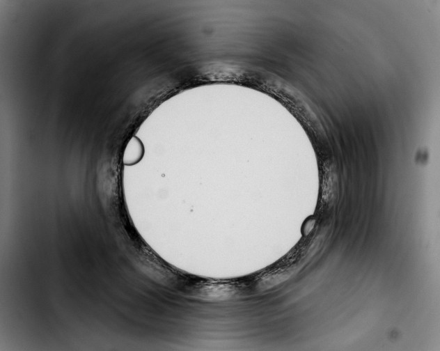 X0000103440604200810241123
