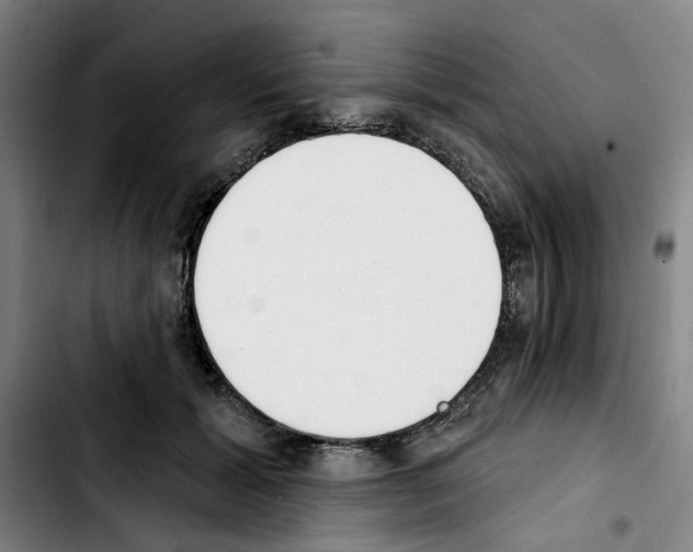 X0000103440605200810241123