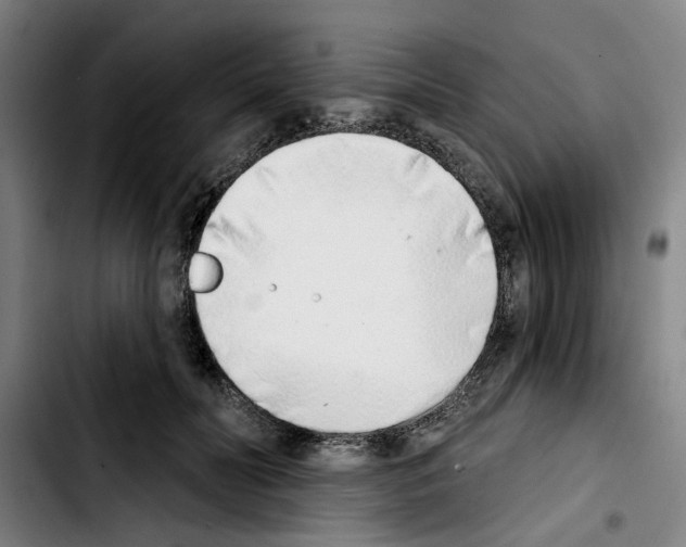 X0000103440606200810241123