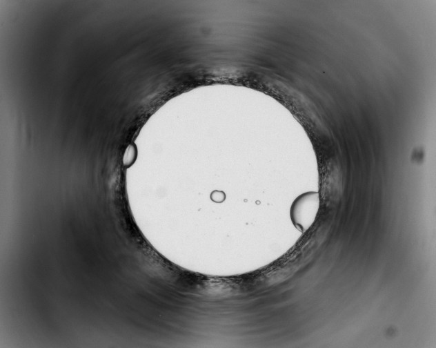 X0000103440608200810241123