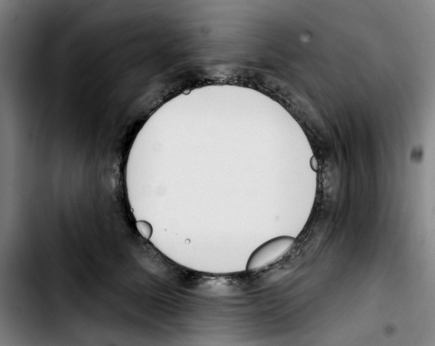X0000103440611200810241123