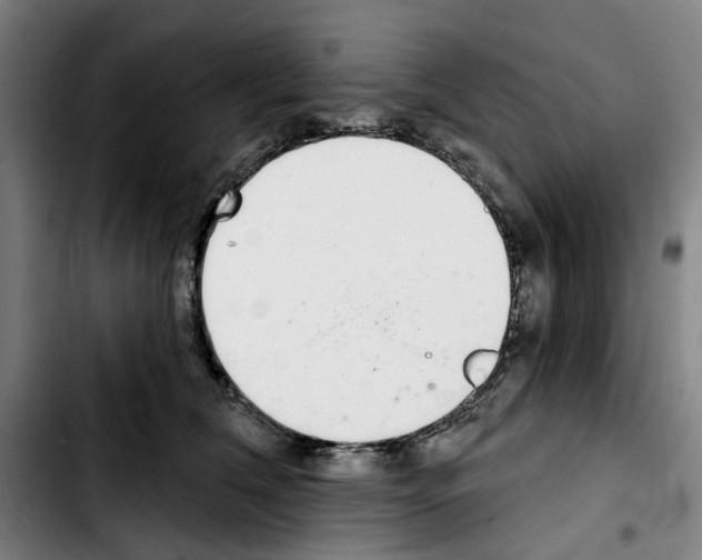 X0000103440612200810241123