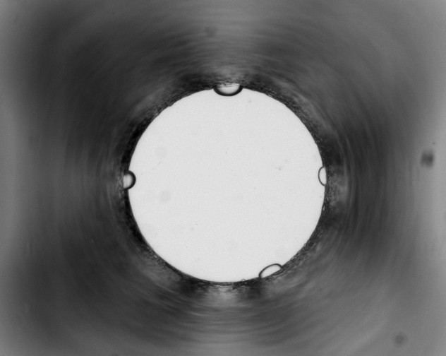 X0000103440613200810241123