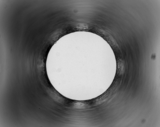 X0000103440614200810241123