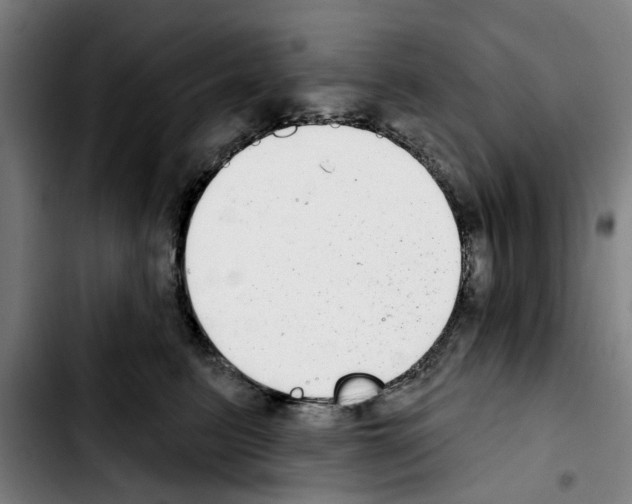 X0000103440615200810241123