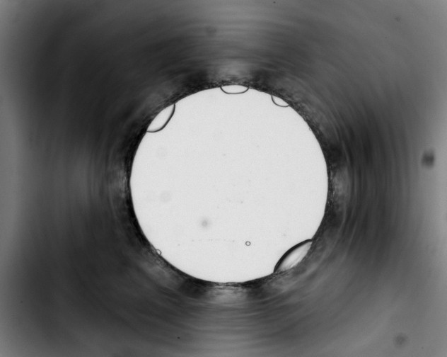 X0000103440617200810241123