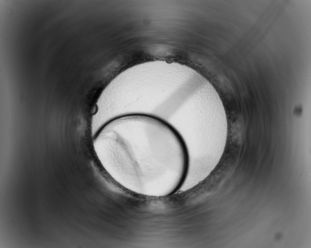X0000103440618200810241123