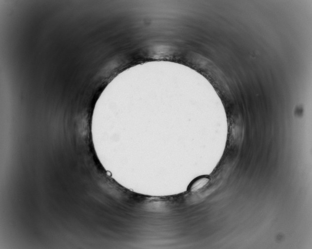 X0000103440620200810241123