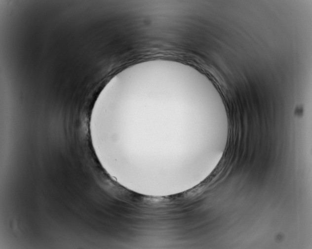 X0000103440621200810241123