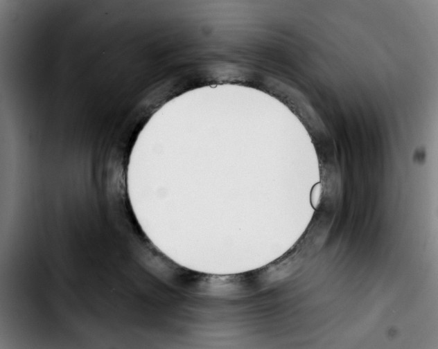 X0000103440622200810241123