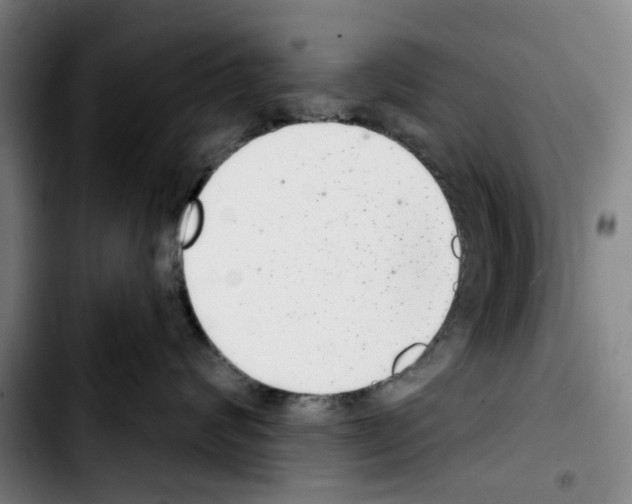 X0000103440624200810241123
