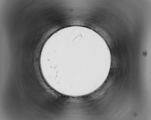 X0000103440625200810241122