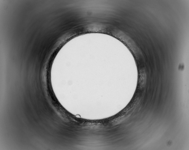 X0000103440626200810241122