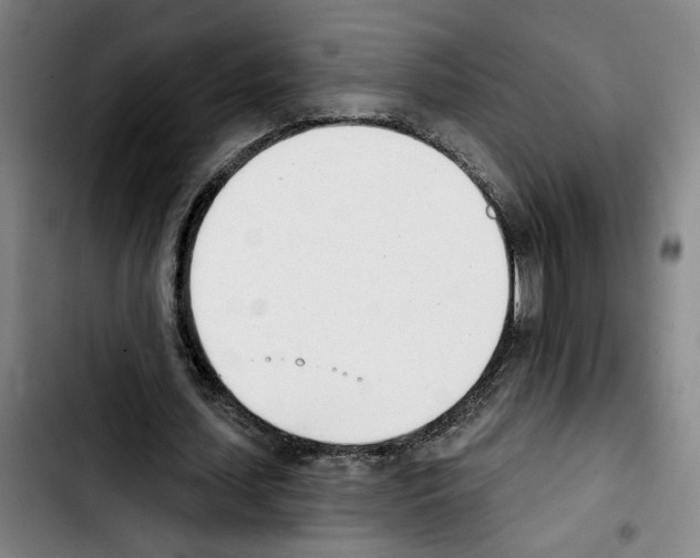 X0000103440627200810241122