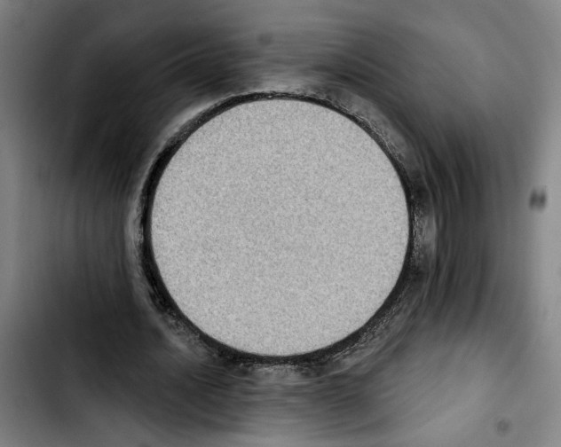 X0000103440628200810241122