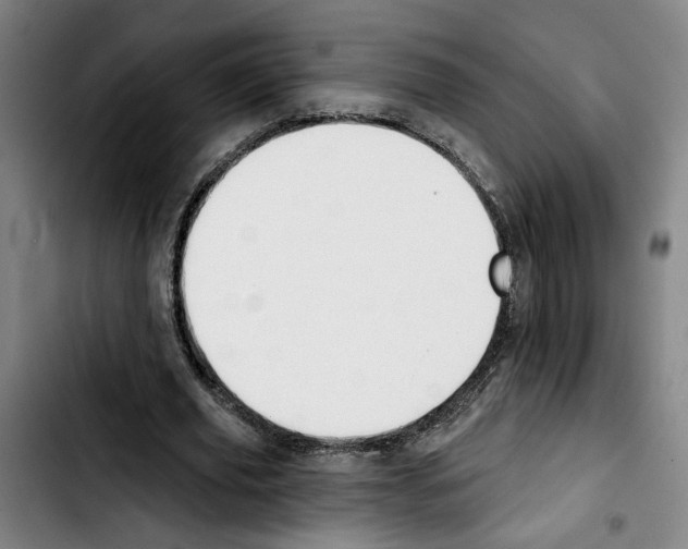 X0000103440629200810241122