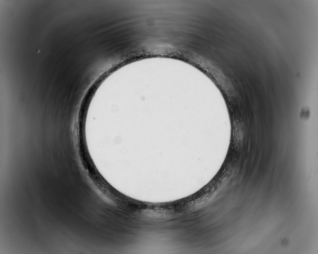 X0000103440630200810241122