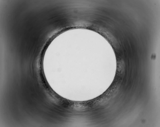 X0000103440632200810241122