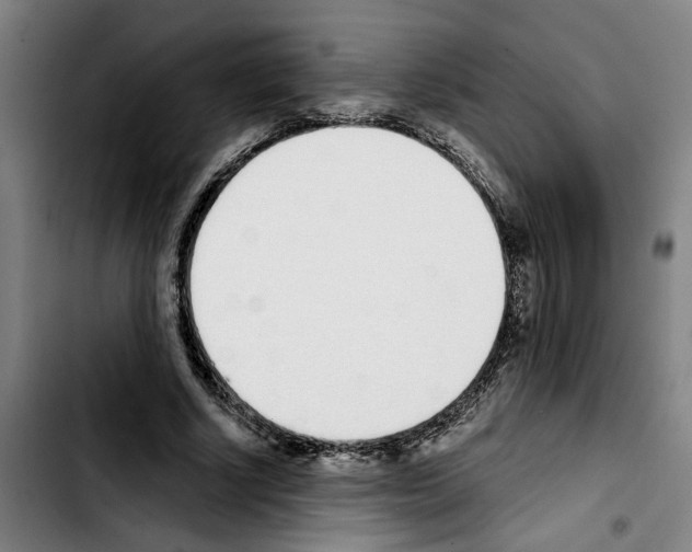 X0000103440634200810241122