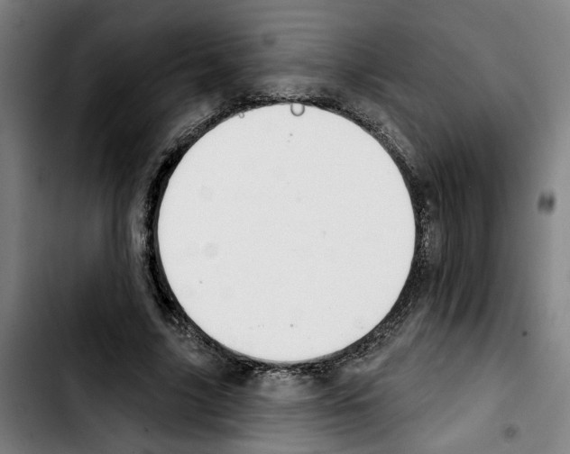 X0000103440635200810241122