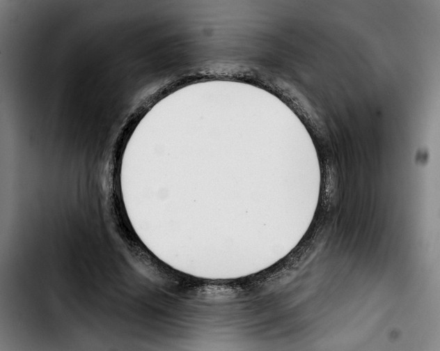 X0000103440636200810241122