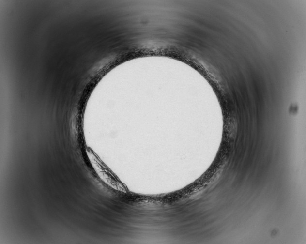 X0000103440637200810241122