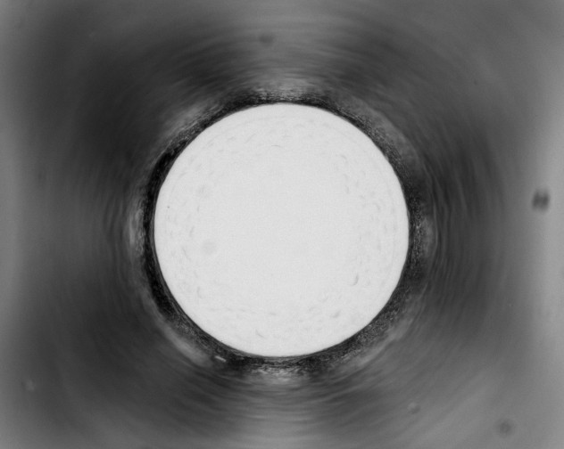 X0000103440638200810241122