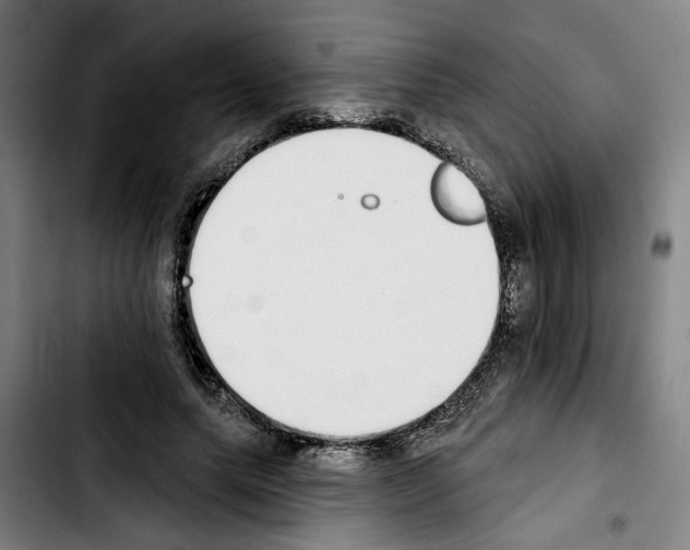 X0000103440639200810241122