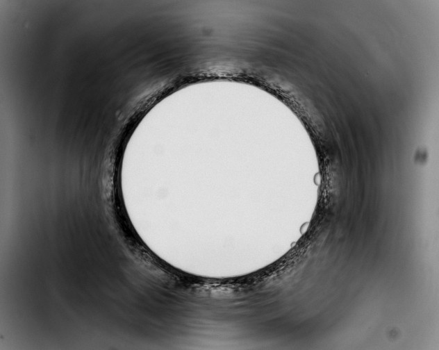 X0000103440640200810241122