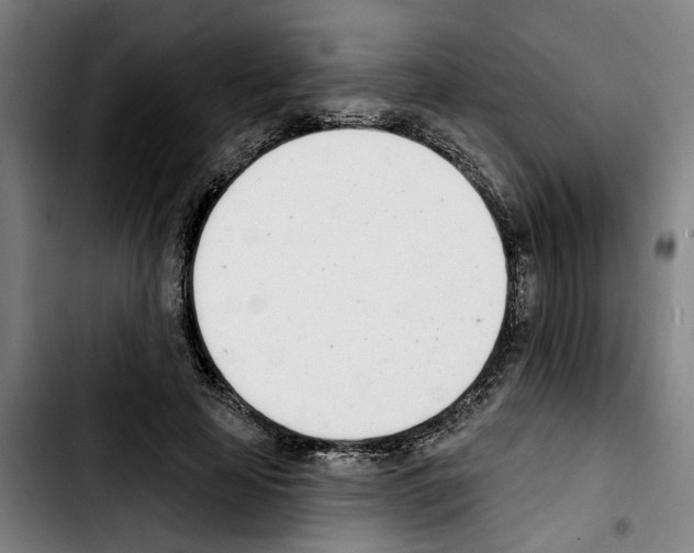 X0000103440641200810241122