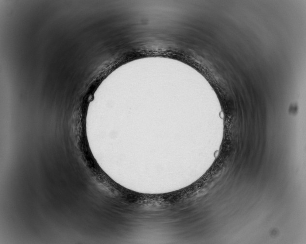 X0000103440642200810241122
