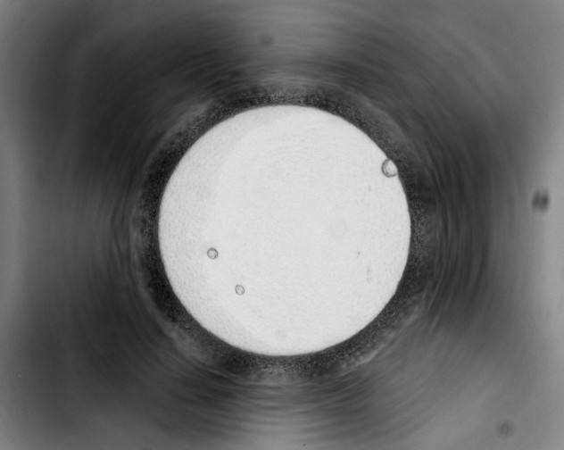 X0000103440644200810241122