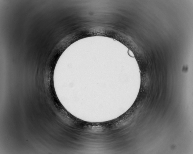 X0000103440645200810241122