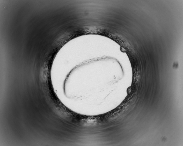X0000103440647200810241122