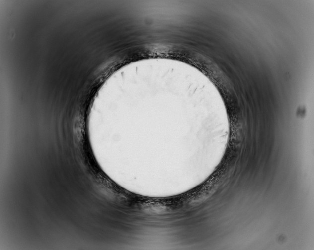 X0000103440648200810241122