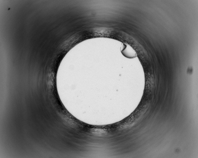 X0000103440649200810241122