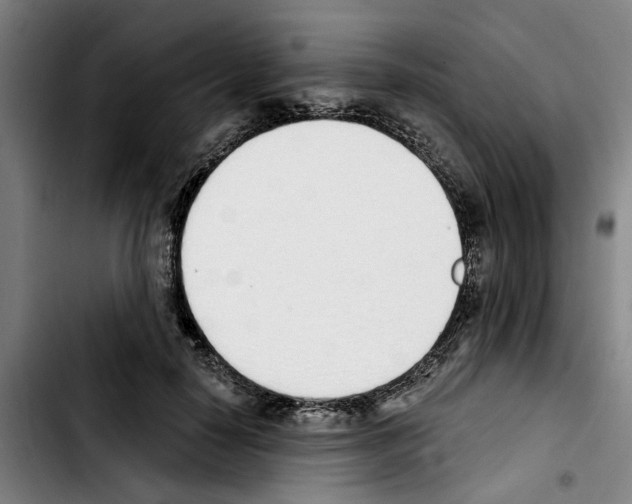 X0000103440650200810241122