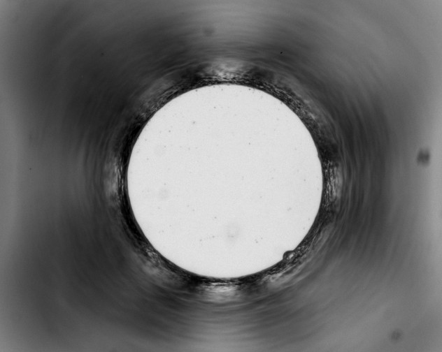 X0000103440651200810241122