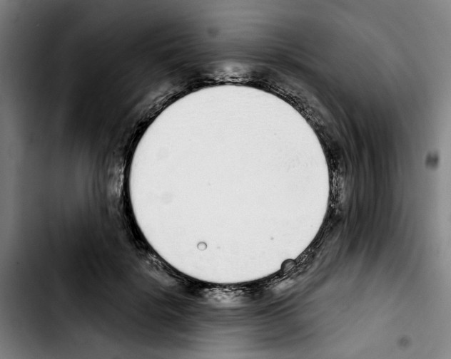 X0000103440652200810241122