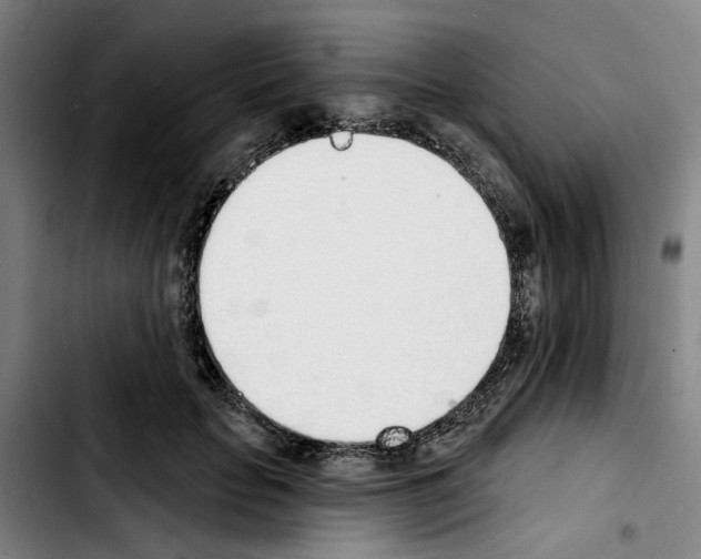 X0000103440653200810241122