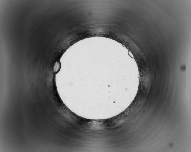 X0000103440660200810241122