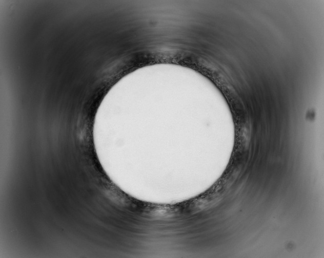 X0000103440663200810241122